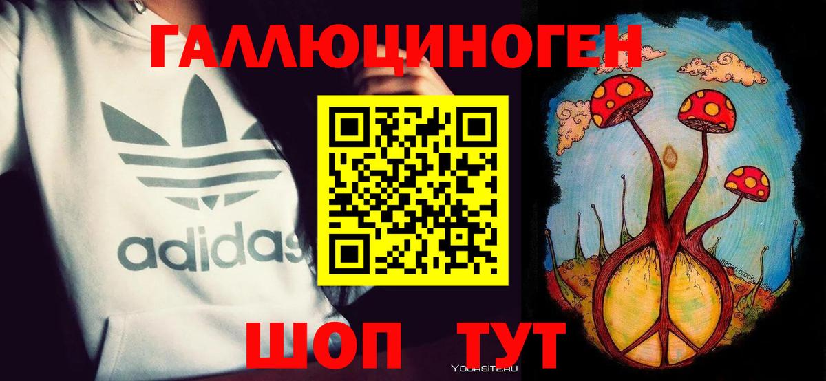Галлюциногенные грибы Psilocybe  как найти   Псилоцибиновые грибы Psilocybine cubensis  Карпинск  Вход с VPN 