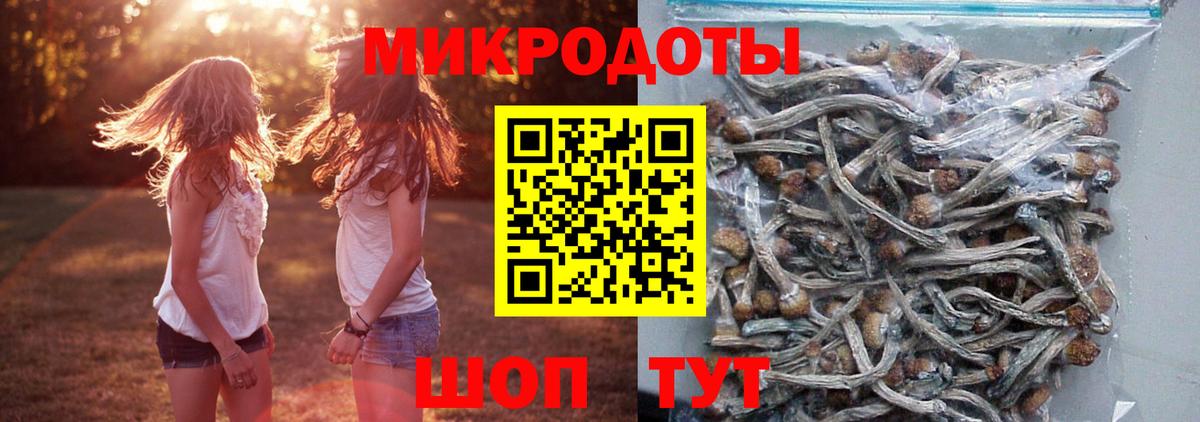 Псилоцибиновые грибы мицелий Карпинск